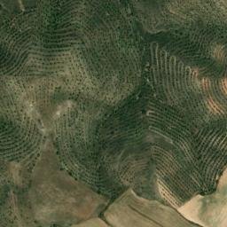 Satellite imagery of survey_point, ES