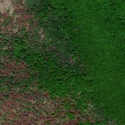 Satellite imagery of Cvetkovo, MK