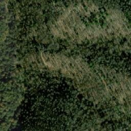 Satellite imagery of Madžarsko Borče, MK