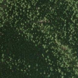 Satellite imagery of Grouse Point, US