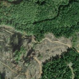 Satellite imagery of Williams Ridge, US