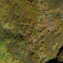 Satellite imagery of Elenski Rid, MK