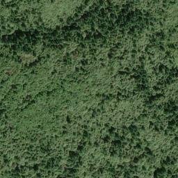 Satellite imagery of French Camp Ridge, US