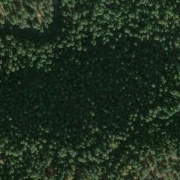 Satellite imagery of Cone Point, US