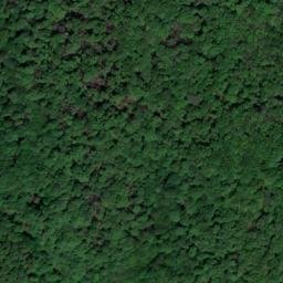 Satellite imagery of 2500m/ 3500m, TR