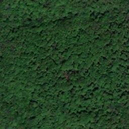 Satellite imagery of 2500m/ 3500m, TR