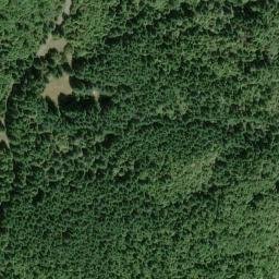 Satellite imagery of French Camp Ridge, US