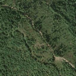 Satellite imagery of Bunch Grass Ridge, US