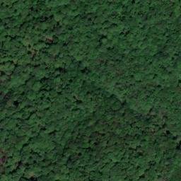 Satellite imagery of 2500m/ 3500m, TR