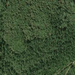 Satellite imagery of Bunch Grass Ridge, US