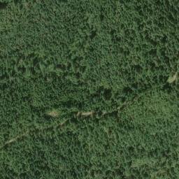 Satellite imagery of Bunch Grass Ridge, US