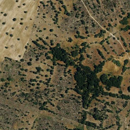 Satellite imagery of survey_point, PT