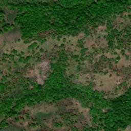 Satellite imagery of Petrova Niva, MK