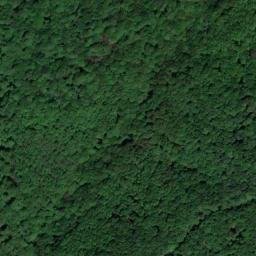 Satellite imagery of 2500m/ 3500m, TR