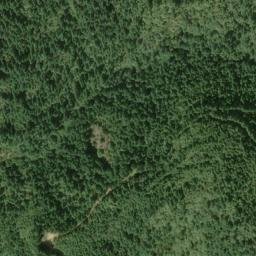 Satellite imagery of Bunch Grass Ridge, US