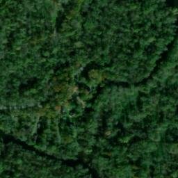 Satellite imagery of Essigs Point, US
