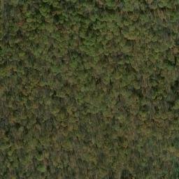 Satellite imagery of Chestnut Ridge, US