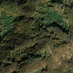 Satellite imagery of Bački Lac, MK