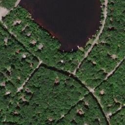 Satellite imagery of Locust Ridge, US