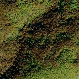 Satellite imagery of Goranoec, MK