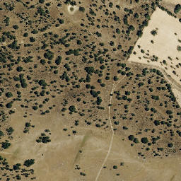 Satellite imagery of survey_point, PT