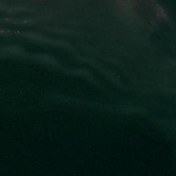 Satellite imagery of Shoal Point, US