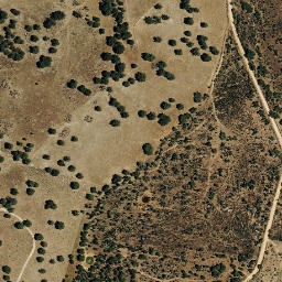 Satellite imagery of survey_point, ES