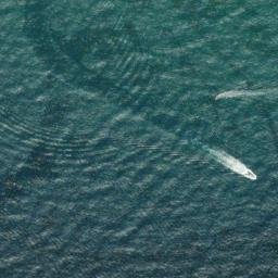 Satellite imagery of Punta de la Mora, ES