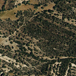 Satellite imagery of survey_point, PT