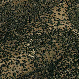 Satellite imagery of survey_point, PT