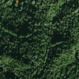 Satellite imagery of Arbor Camp Ridge, US