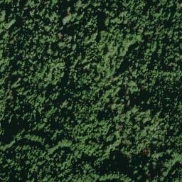 Satellite imagery of Arbor Camp Ridge, US