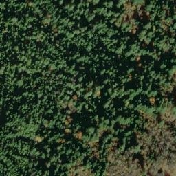 Satellite imagery of Arbor Camp Ridge, US