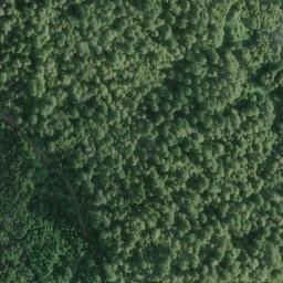 Satellite imagery of Hog Ranch Ridge, US