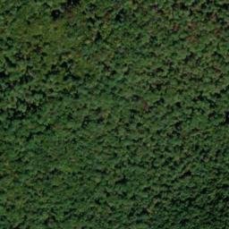 Satellite imagery of North White Deer Ridge, US