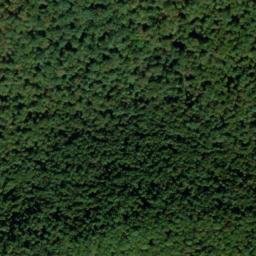 Satellite imagery of North White Deer Ridge, US