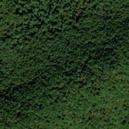 Satellite imagery of North White Deer Ridge, US