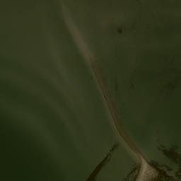 Satellite imagery of Pine Creek Point, US