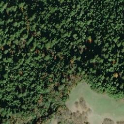 Satellite imagery of Arbor Camp Ridge, US