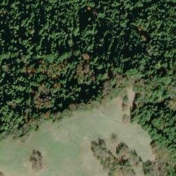 Satellite imagery of Arbor Camp Ridge, US
