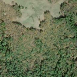 Satellite imagery of Arbor Camp Ridge, US