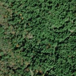 Satellite imagery of Arbor Camp Ridge, US