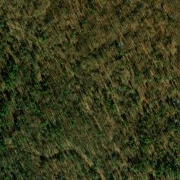 Satellite imagery of The Talladega, US