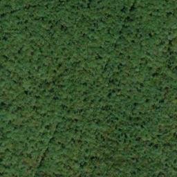 Satellite imagery of North White Deer Ridge, US