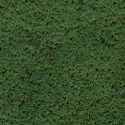 Satellite imagery of North White Deer Ridge, US