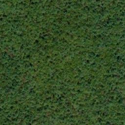 Satellite imagery of North White Deer Ridge, US