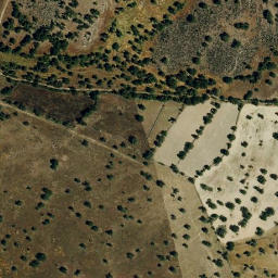Satellite imagery of survey_point, PT