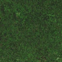 Satellite imagery of Maple Ridge, US