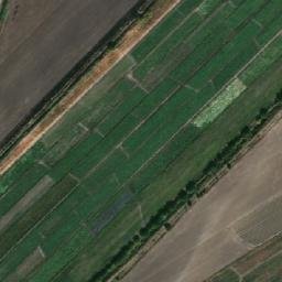 Satellite imagery of survey_point, KZ