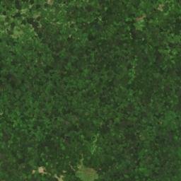 Satellite imagery of Maple Ridge, US